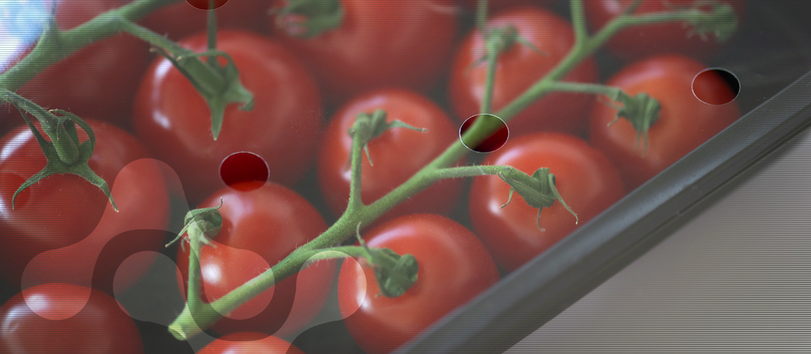 paradajka-v2